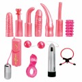 o  Dirty Dozen Sex Toy Kit